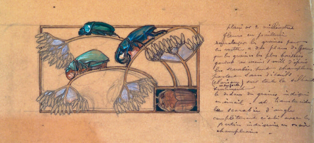 Szkice René Lalique’a. Źródło: https://www.musee-lalique.com